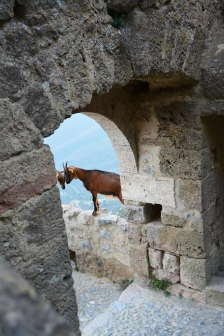 Vilata A Dans Les Corbieres Sauvages Holiday home Padern