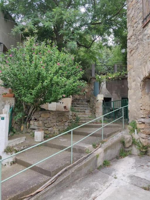 Holiday home Vilata A Dans Les Corbieres Sauvages